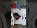Cat Runs Inside Washing Machine 1026150