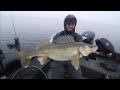 TOP 3 BIGGEST WALLEYES CAUGHT ON CAMERA (compilation)