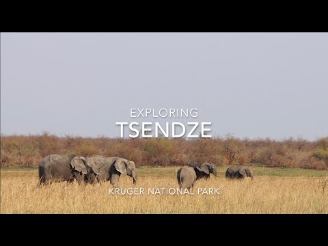 TSENDZE - Kruger Park camping at its best!