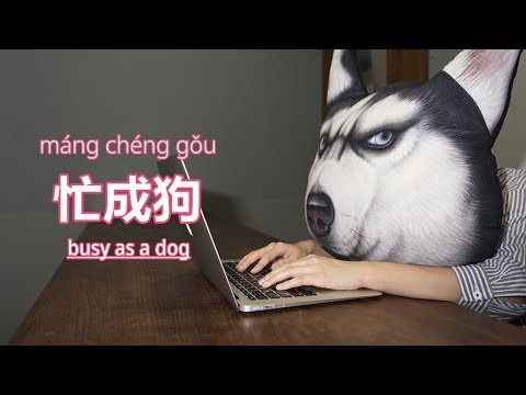 Beyond Class: How to Say "Busy as a Dog" in Chinese