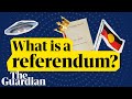 What is a referendum and how can it change Australia? | News glossary