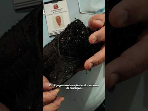 Programa Propaga SP: novas tecnologias e culturas para o agro paulista | CATI e FUNDAG