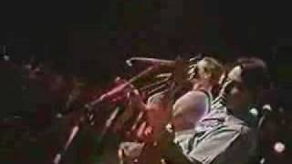 Oingo Boingo Private Life Live
