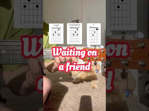 Budweiser - Friends Are Waiting - Dan Rodriguez