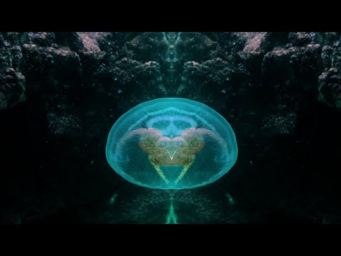 The Secret Cave by Rayleen Clancy