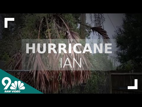 Hurricane Ian: Damage assessment begins in Florida