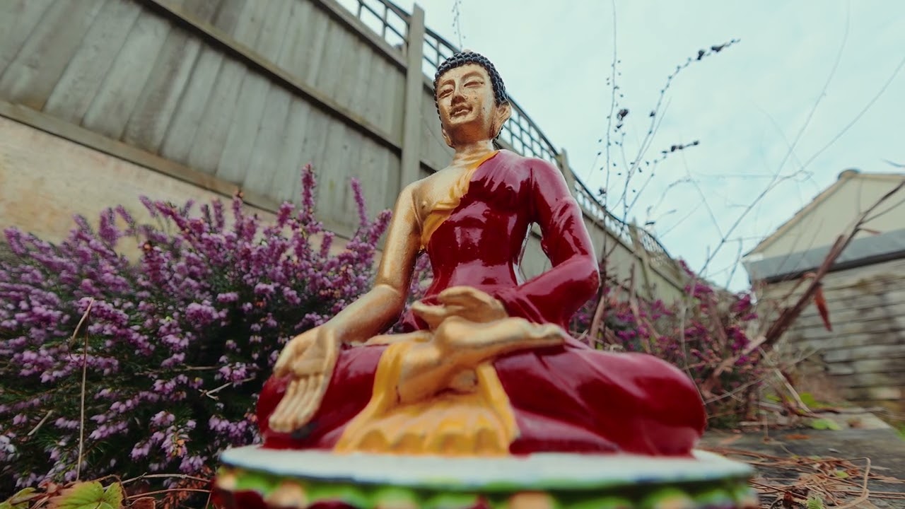 DJI Osmo Action 6 &mdash; Macro Lens - YouTube