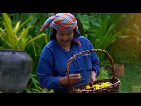 Thailand - video for beginners