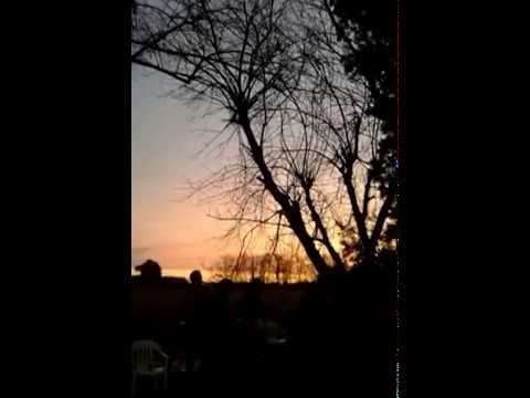 FeLiCeS los locos; El Zombiee vegetariano!!