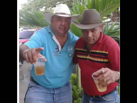 Dos Gatos Con Cara De Tigre   Jesus Daniel Quintero y Cesar Montoya