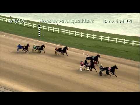 HP Qualifiers 4 2 16