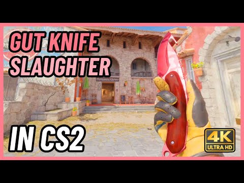 ★ CS2 Gut Knife Slaughter | CS2 Knife In-Game Showcase [4K]