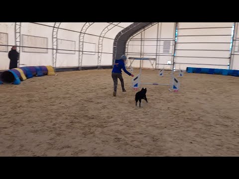 Szikra - Kezdő jumping - Első verseny 6 ÉV kihagyás után