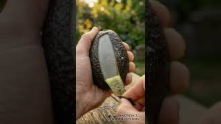 Avocado Concrete Candle 🥑🕯️