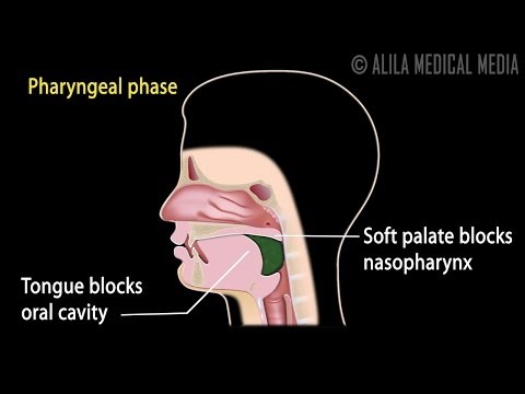 Mechanism of Swallowing Animation in Child model