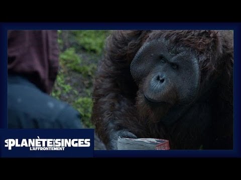 La Planète des Singes : L'Affrontement - Extrait Le Livre [Officiel] VOST HD