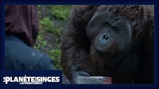 La Planète des Singes : L'Affrontement - Extrait Le Livre [Officiel] VOST HD
