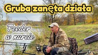 Gruba Zanęta , Waftersy i Rzeka ! Klenie Reagują Od Razu !