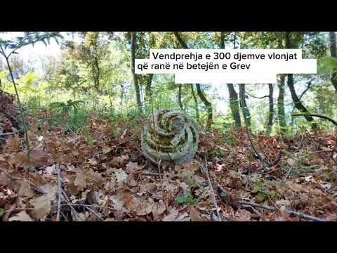 Tartar Memushi nga Vlora_Katina Beleri_Ansambli Çipini