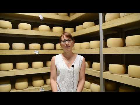 Fattoria didattica Buon Pastore - Sant'Alberto di Ravenna