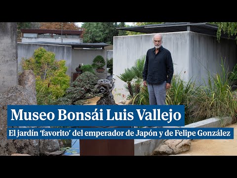 Luis Vallejo Bonsai Museum: the collection that captivated Felipe González and the Emperor of Japan