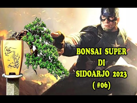 BONSAI SUPER SIDOARJO (2023) #6