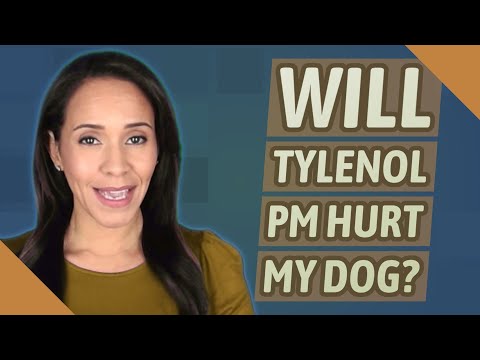 Will Tylenol PM hurt my dog?