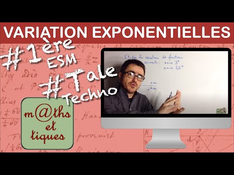 Studying the variations of an exponential function - Première ESM - Terminale Techno