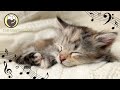 Calming Music for Cats (with cat purring sounds) - Deep Relaxation & Anxiety Relief 24/7