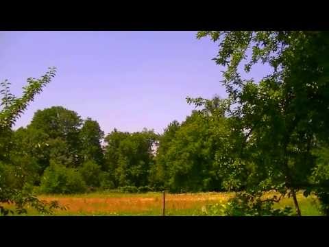 Moartea lui Ioan Botezatorul din Evanghelia dupa Marcu 06 14-29 de Dr Raru