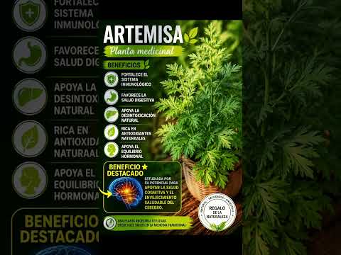 Artemisa Annua