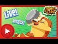 Animal Jam Wacky Spring Stream Animal Jam
