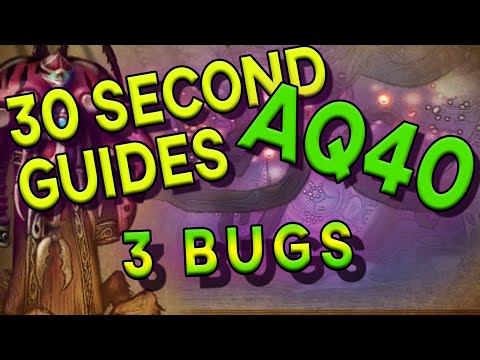3 Bugs - 30 Second Guides - AQ40