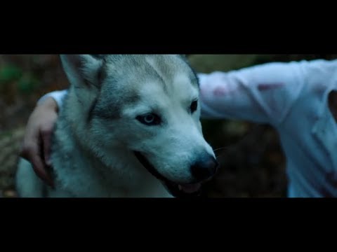 Riffi - Alles Verloren (prod. Harun B & Omar Beats)