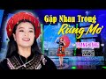 Gặp Nhau Trong Rừng Mơ Trang Đặng Mặt Trời Hồng Lưng Vách Núi Lững Lờ Làn Mây