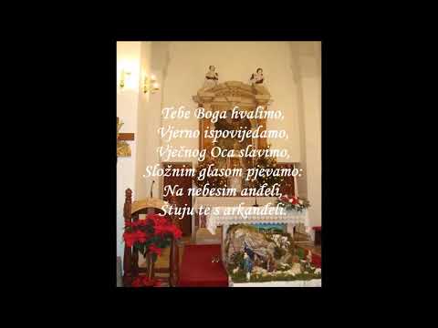 Tebe Boga hvalimo audio