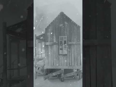 HEAVY BLIZZARD & Howling Wind Sounds for Sleeping. Snowstorm Ambience. Howling Wind & Blowing Snow