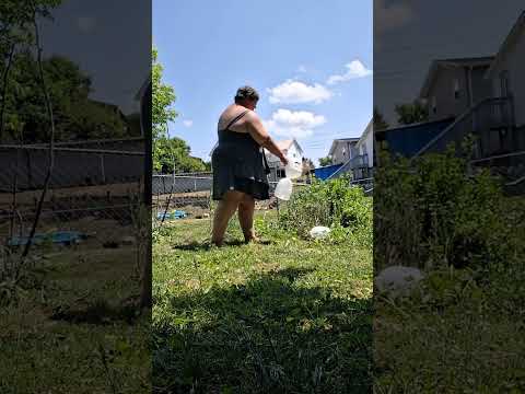 Watering to Bridgerton long