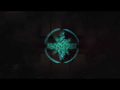 Psaikozet - Oncoming Traffic