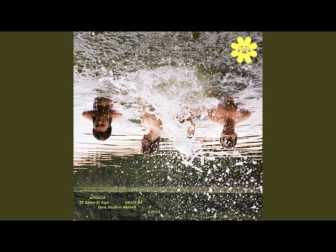 Til Solen Er Sort - APHACA