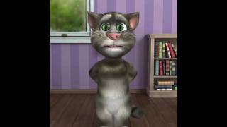 Talking Tom Surf Colorado