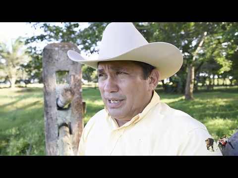 COMO SI FUERA UN MINUTO - VILLAMIL TORRES (El Azulejo del Llano)