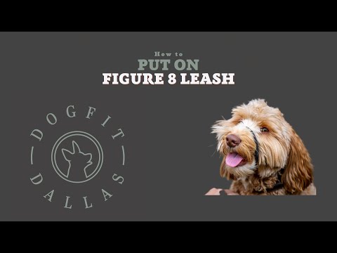 Figure 8 Leash- How to