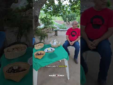 Assentamento Zumbi dos Palmares, em Simolândia/GO