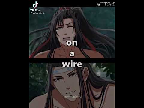 ⚠Two birds...one a wire😳 #mdzs #modaozushi #weiying #weiwuxian #lanzhan #mxtx
