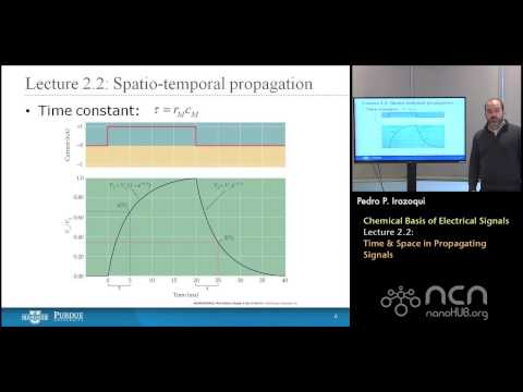 nanoHUB-U Bioelectricity L2.2: Chemical Basis - Time & Space in Propagating Signals