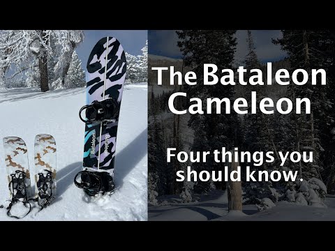 Bataleon Cameleon Review: Four Things You Should Know