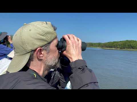 Cape May Spring Festival 2022