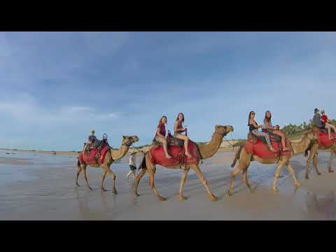 Camel Ride on Cable Beach