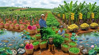 Relax With Harvesting Green Bird’s Eye Chili, Dragon Fruit, Catch Fish, Laba Bananas, Jackfruit